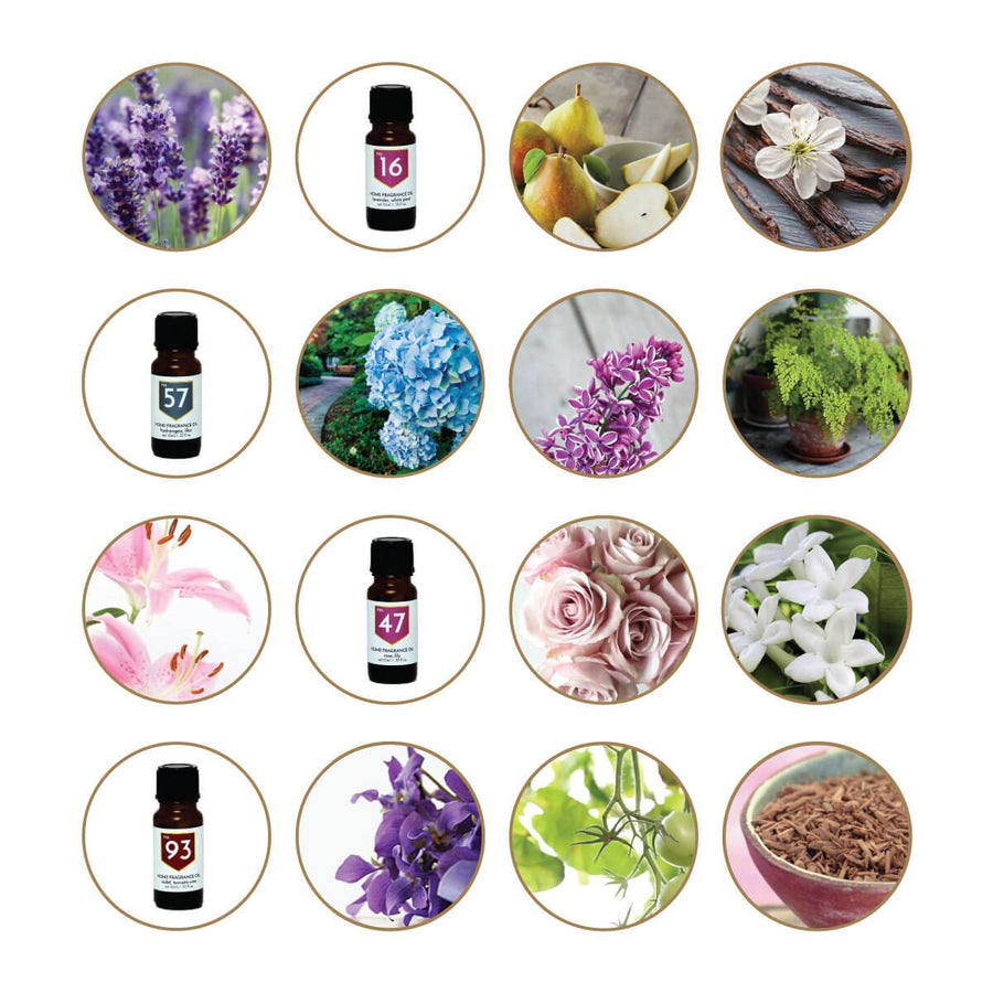 Floral Scented Home Fragrance Diffuser Oils Gift Set - A C D C