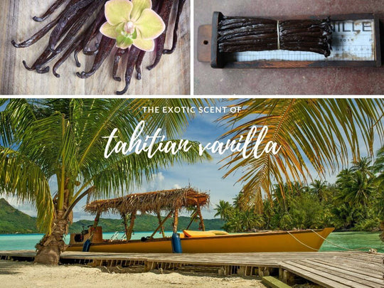 Exotic Tahitian Vanilla Fragrance - ACDC Co