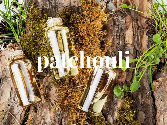 The Power of Patchouli Home Fragrance - ACDC Co