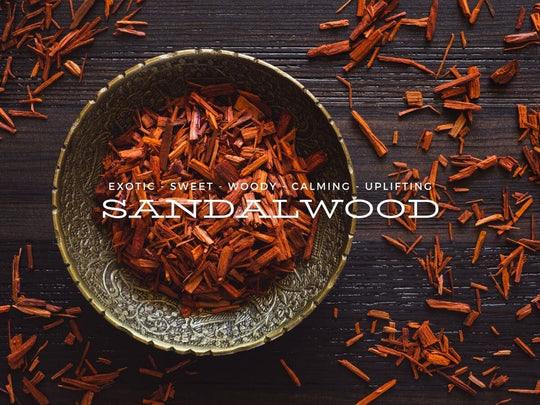 The Sultry Scent of Sandalwood - ACDC Co
