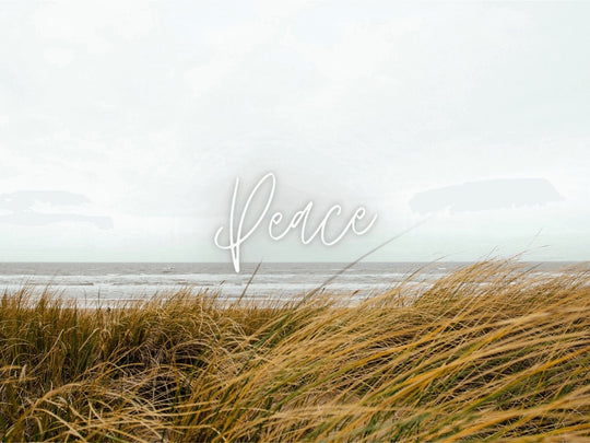 We Call Lemongrass ‘Peace’ and Here’s Why… - ACDC Co