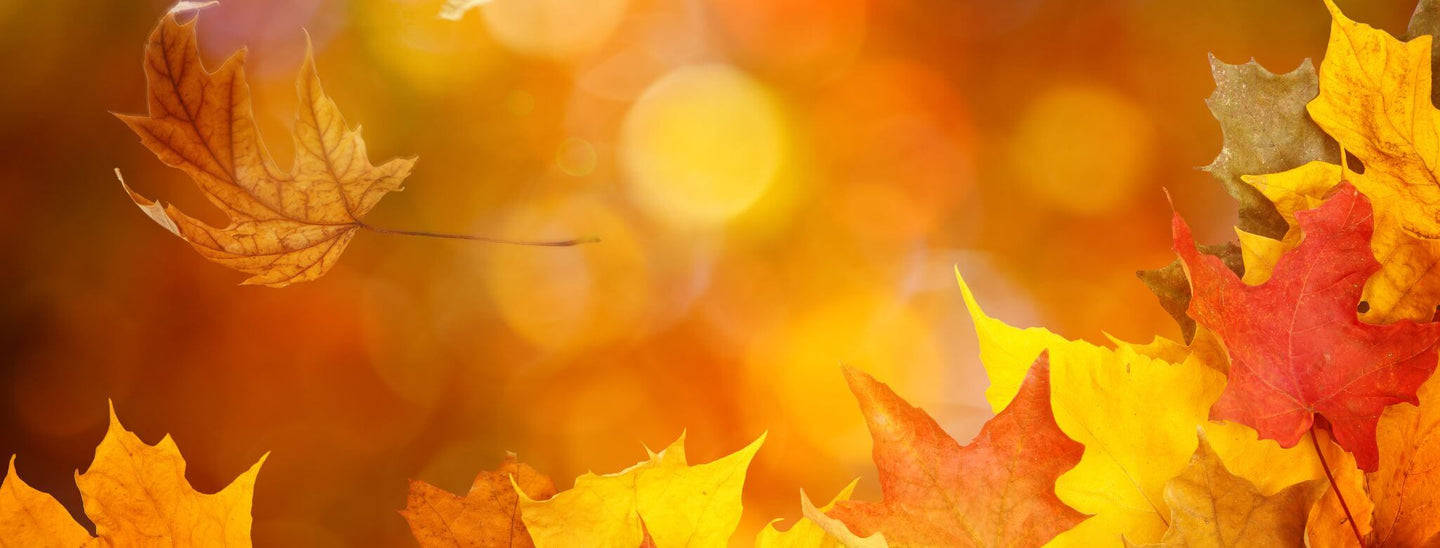 autumn aromas