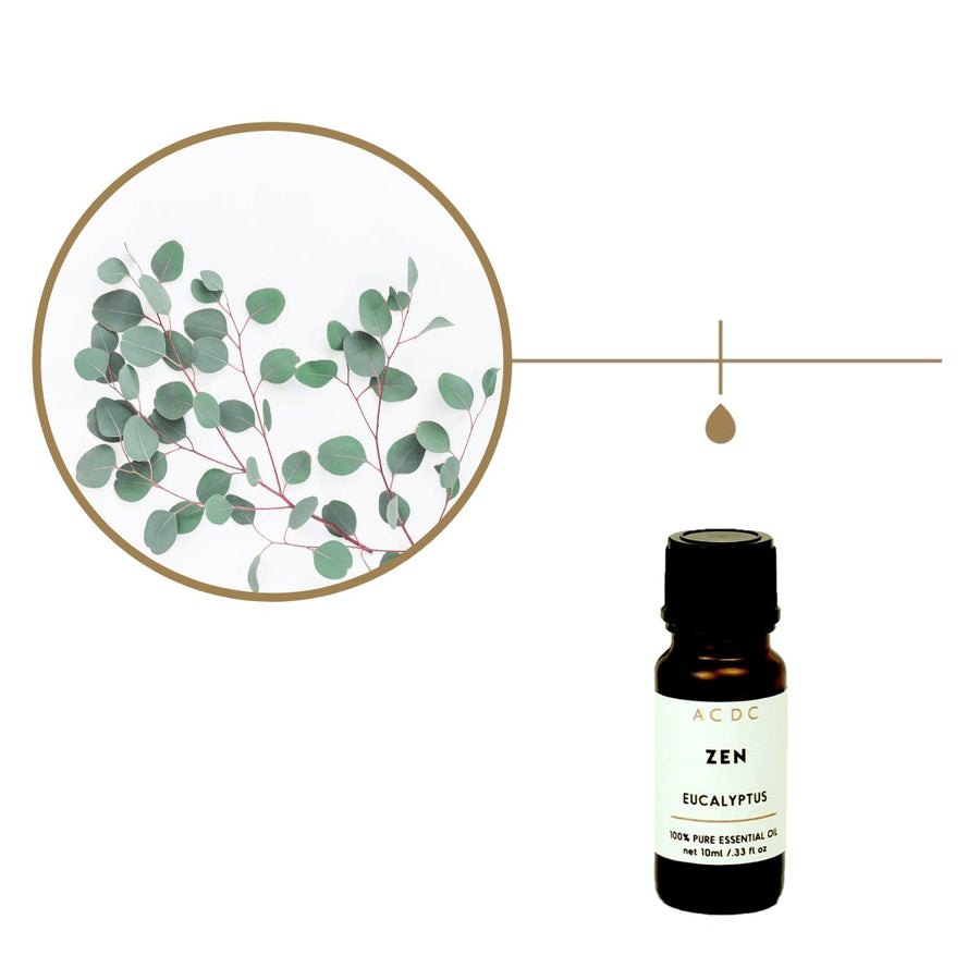 Zen Eucalyptus Pure Essential Oil - ACDC Co